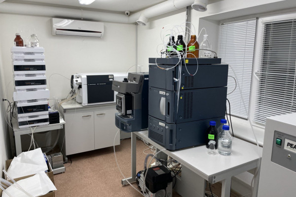 Investments in honey production and export from Ukraine with annual return up to 20-25%